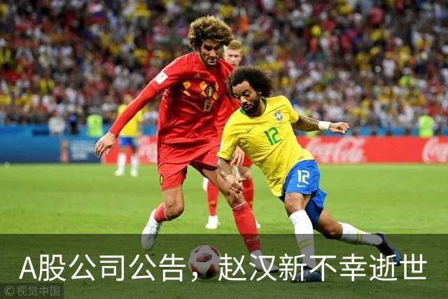 A股公司公告，赵汉新不幸逝世